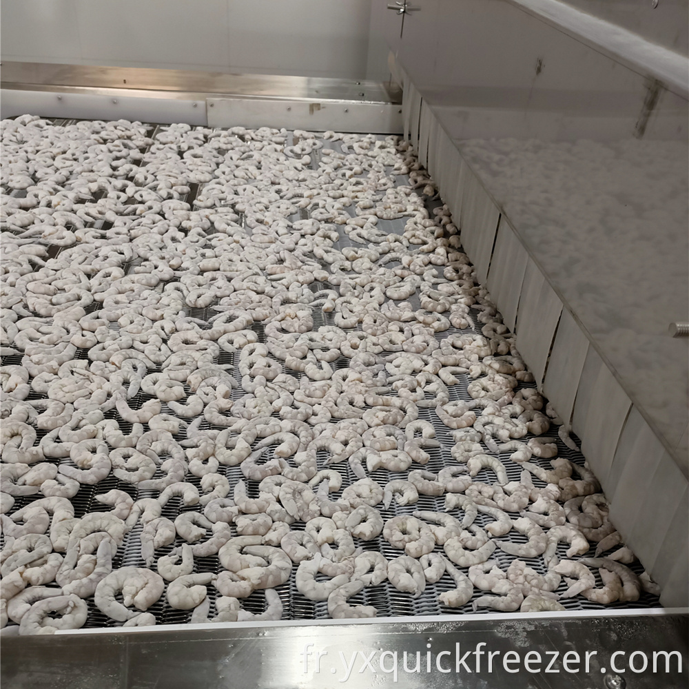 Impact Tunnel Freezer For Shrimp With Large Output